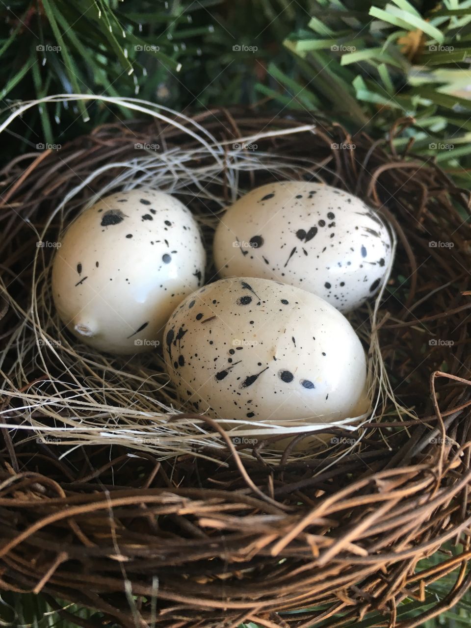 nestled eggs