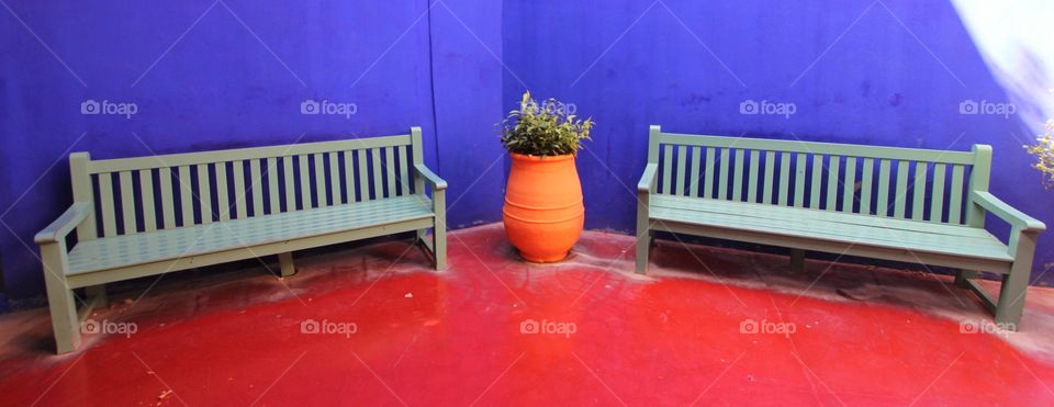 Gardens in Marrakech 