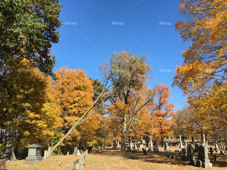 Cemetery in the fall