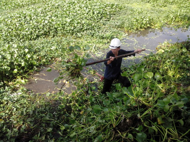 Cleaning the river. environment care day
