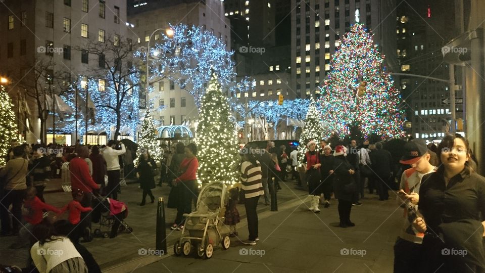 oh Christmas tree. the Rockefeller Christmas tree