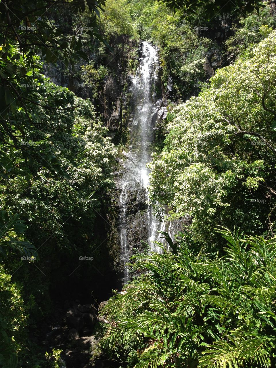 Beautiful Maui Waterfalls 