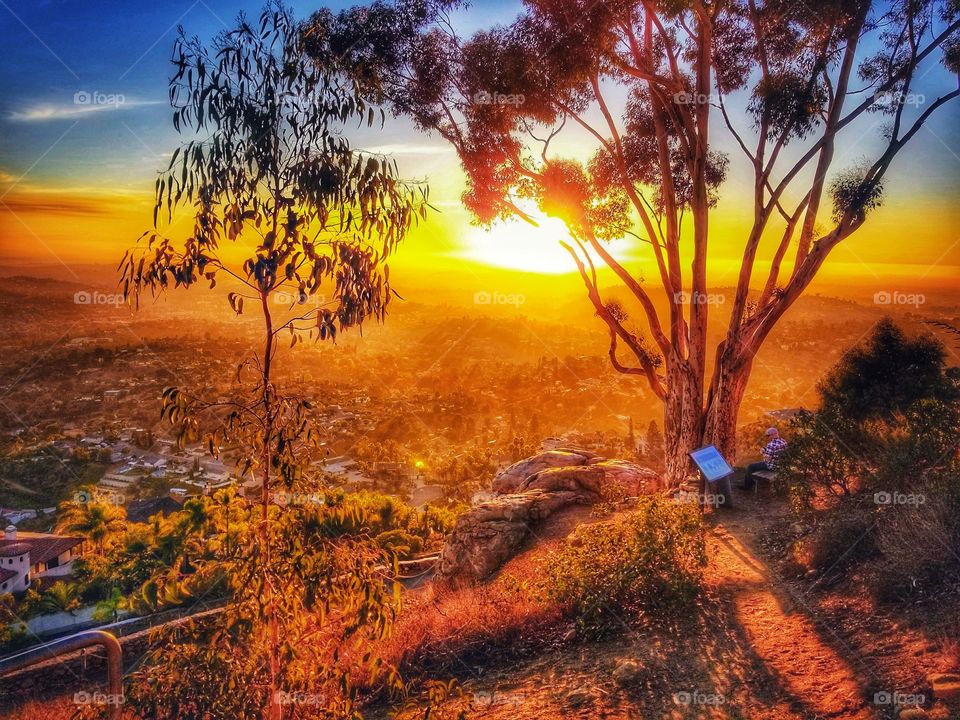 ILLUMINATION of Lights