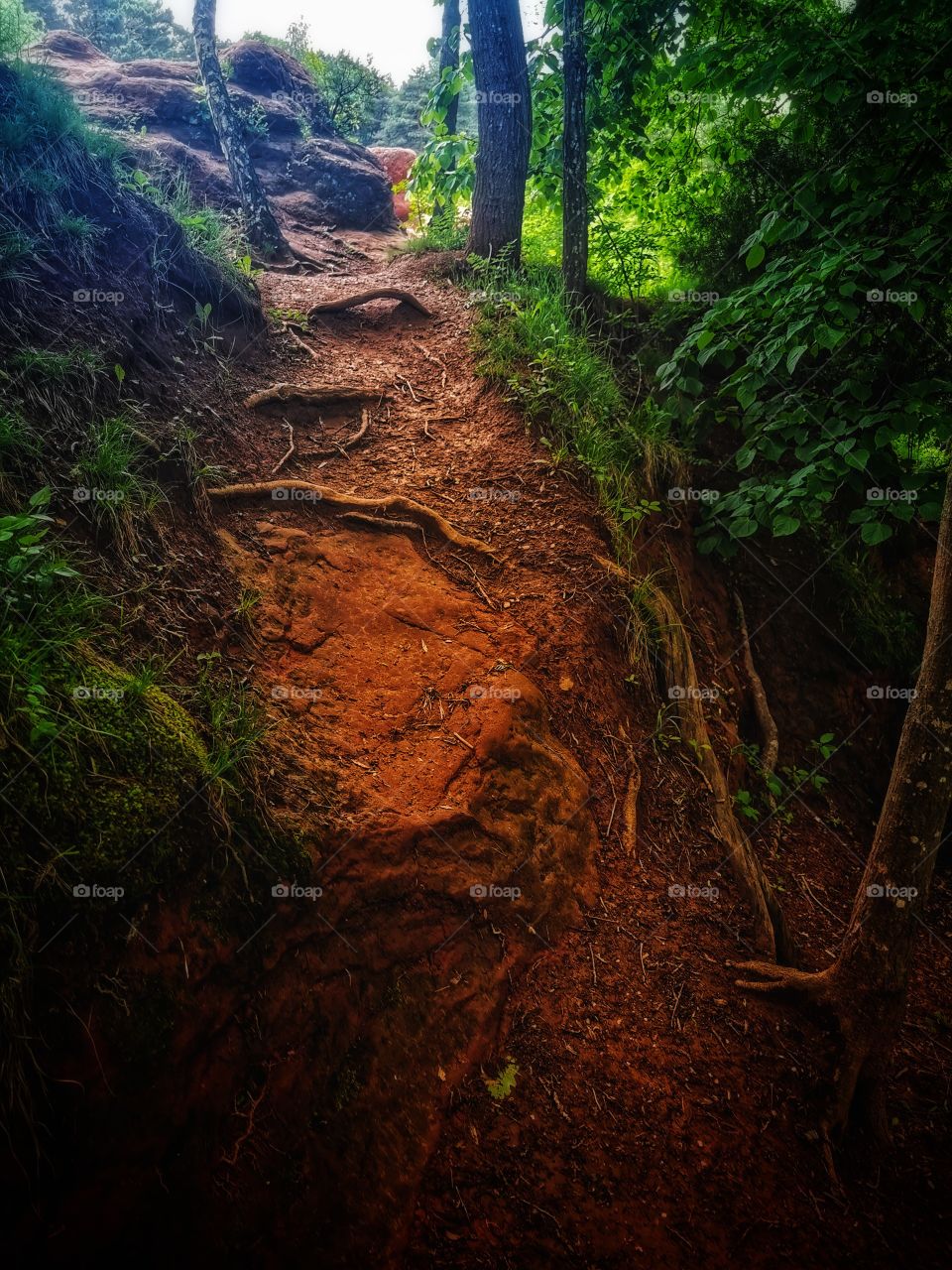 Day sun building way road decor decoration design view greens wild street outdoor plant flower beauty nature greens