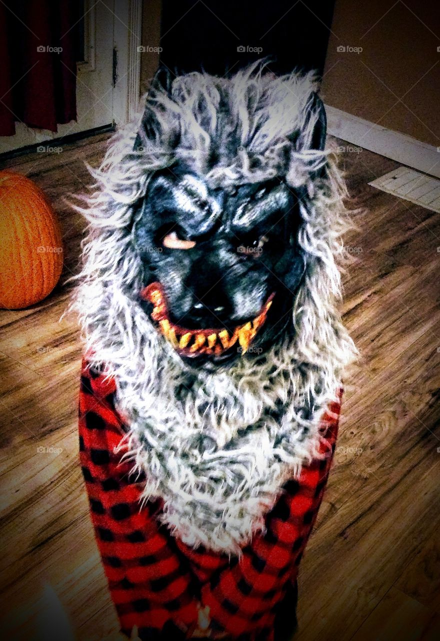 child dressed as a werewolf for Halloween