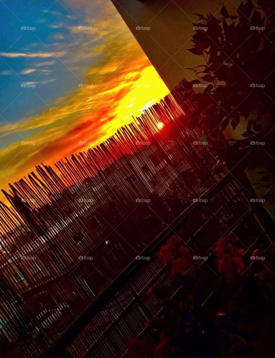 My Magic view Cyprus 