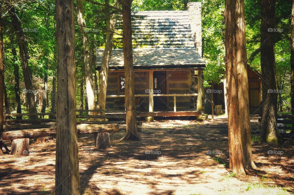 Serene photo of an old, rustic cabin in the woods.