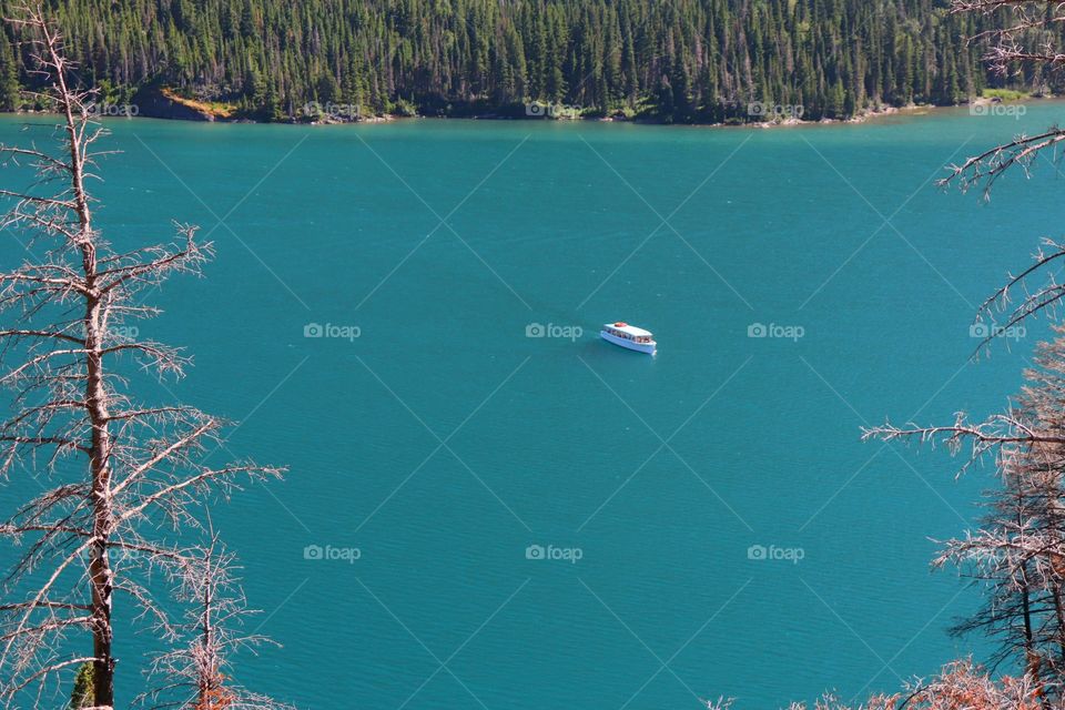Floating on Turquoise