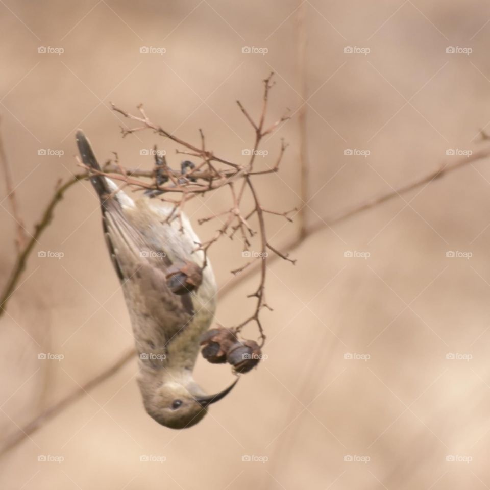 Eat in all situations