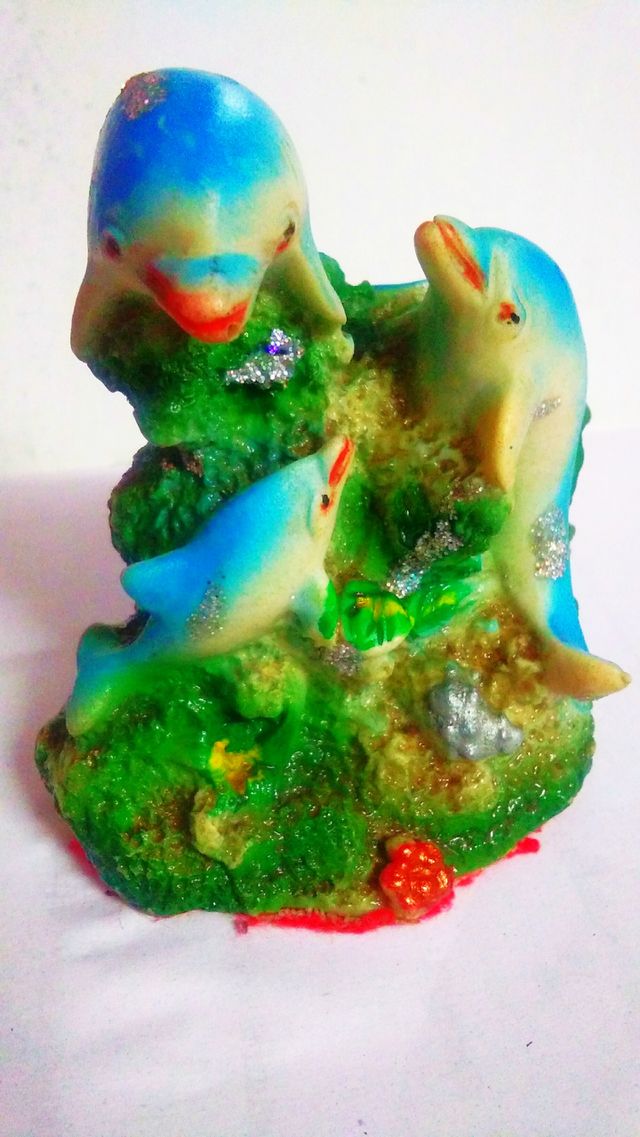 dolphins