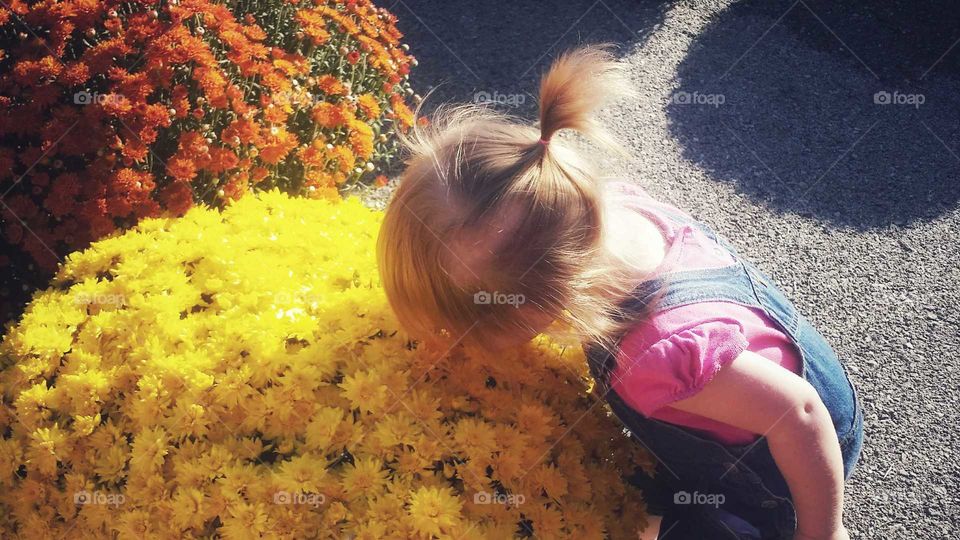 stop to smell the flowers