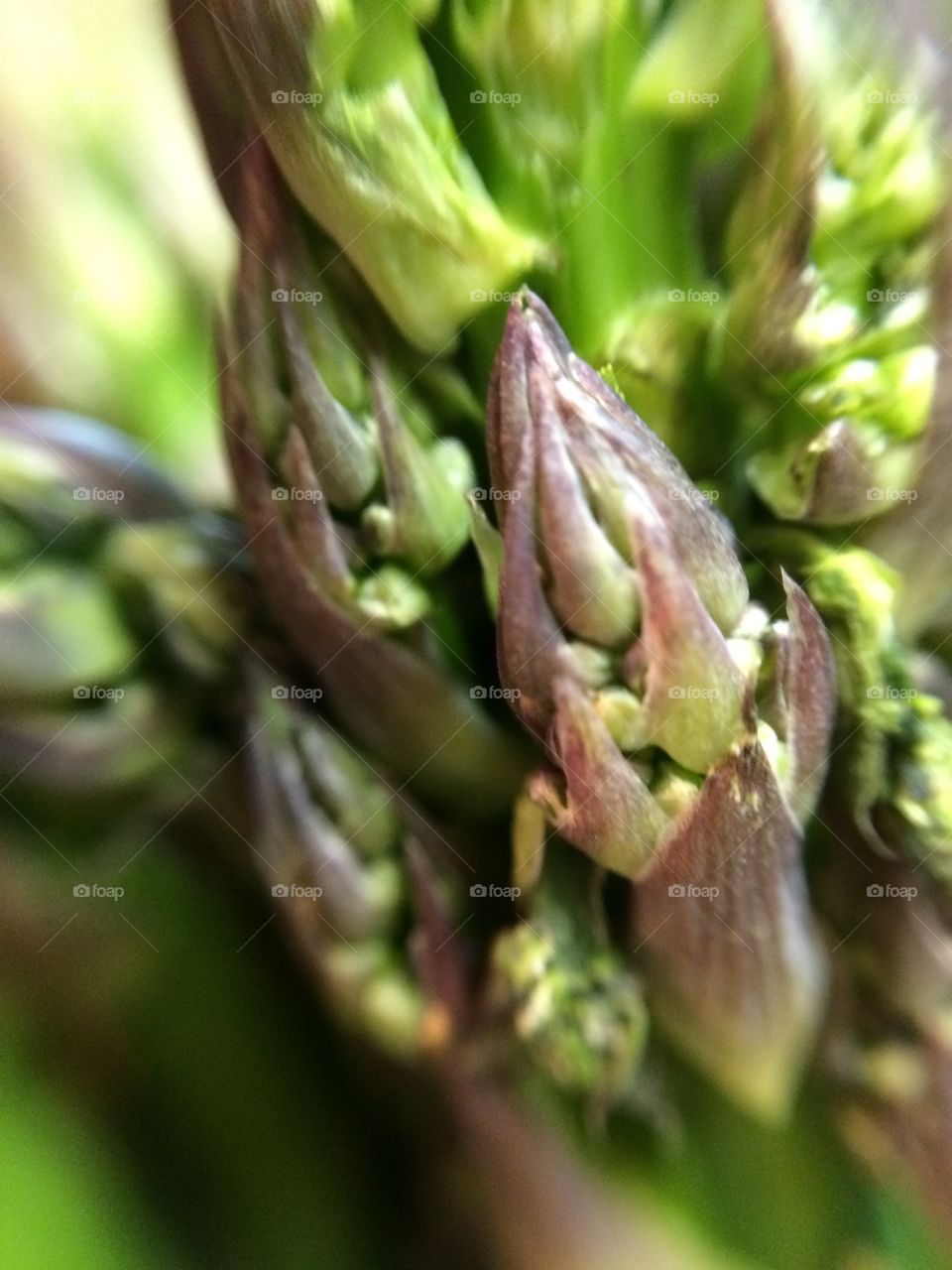 Asparagus. What's that funny smell when I pee!