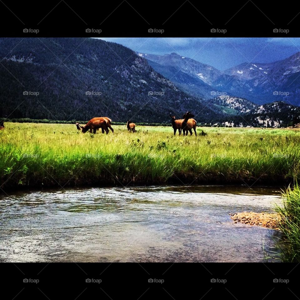 Another day fly fishing