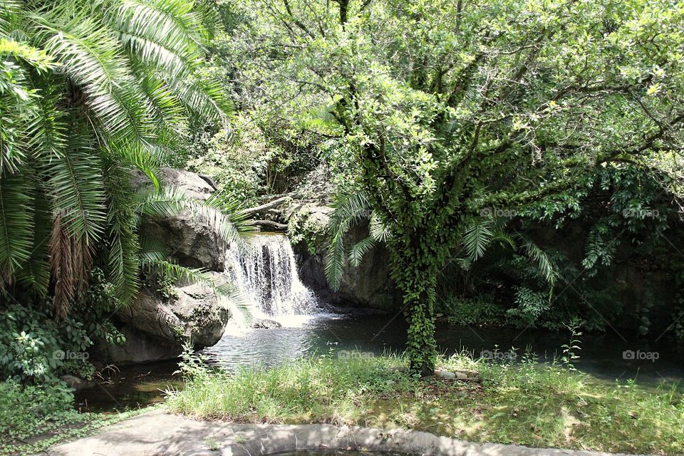 Waterfall in a rainforest 