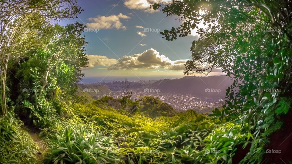 Tropical view of the city