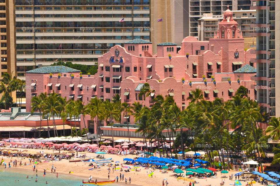 Pink Waikiki