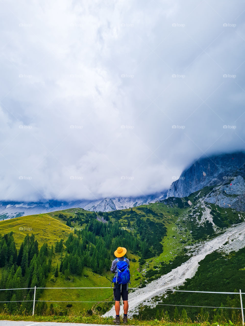 looking into the wilderness