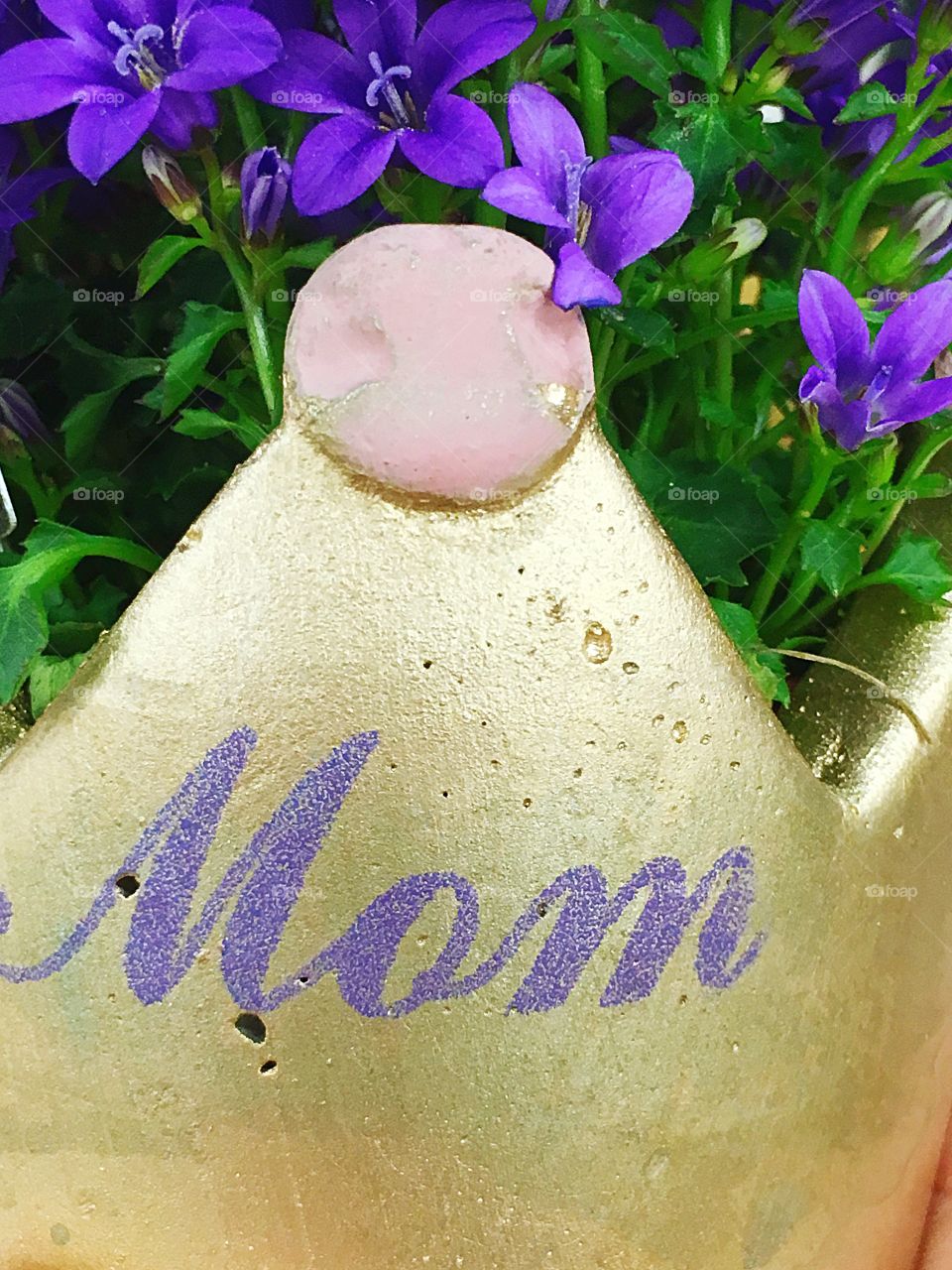 Purple Flowers  for Mom
