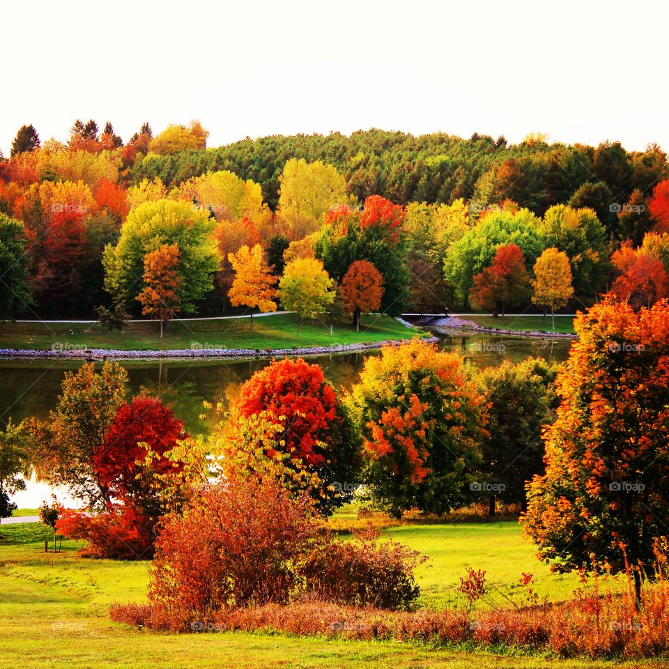 Autumn in the park