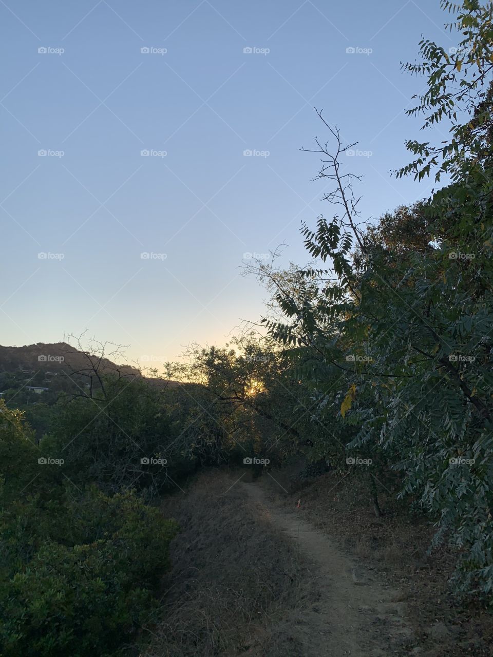 Sunrise on the trail