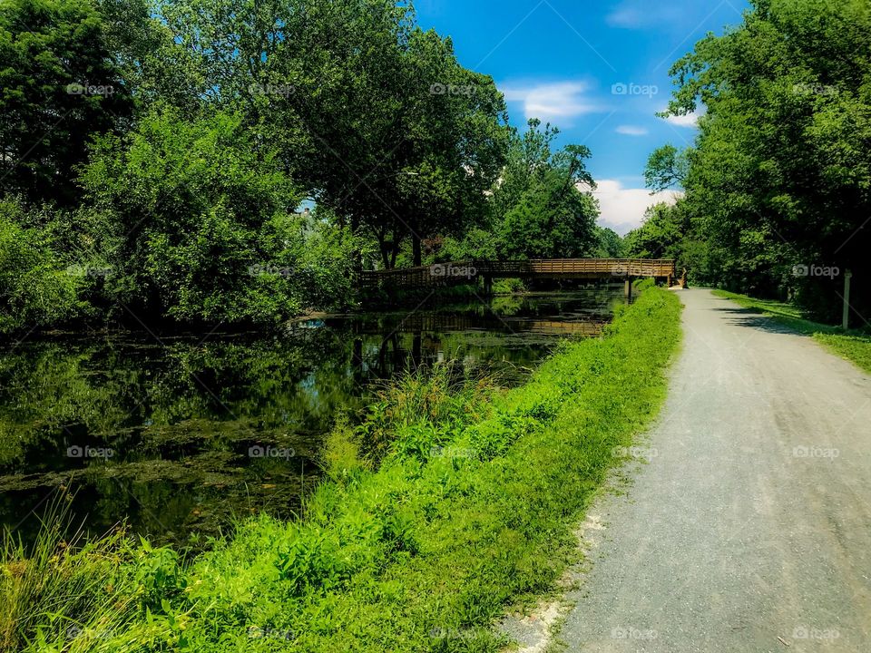 Bike path on a summer day 