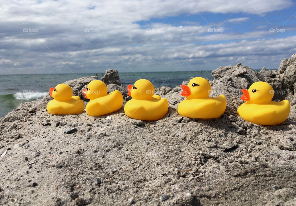 Rubber ducks on rock at the beach