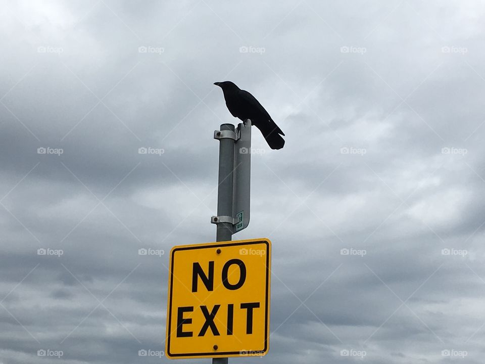 :) ... But, I can fly 😊