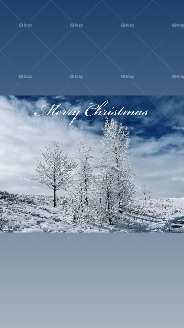 Merry Christmas/  photo and writing