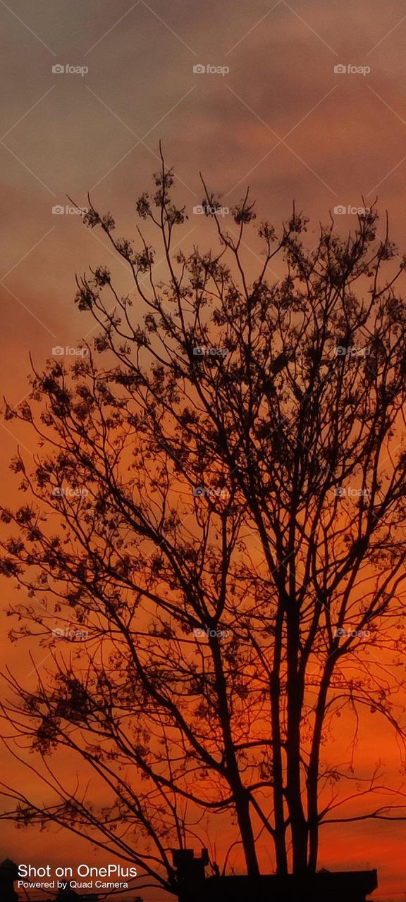 evining view sanset lite 😍