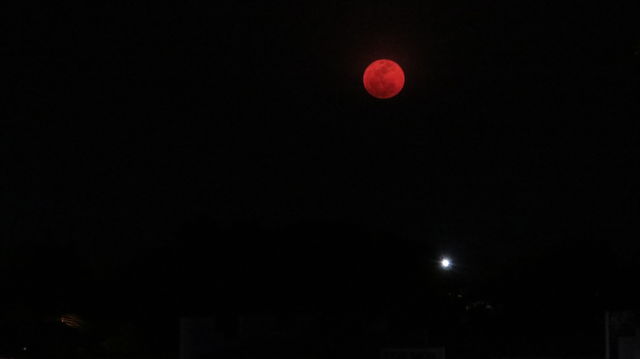 Super Moon blood 
