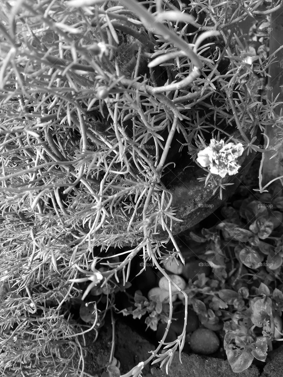 A fine art style of flower and grass as part of the earth