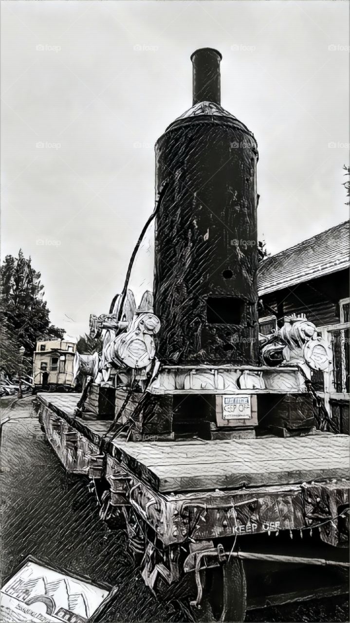 Train in Snoqualmie Wa