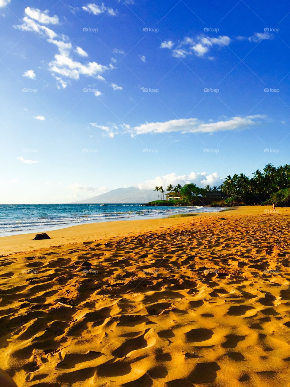 Sand, Beach, No Person, Water, Summer