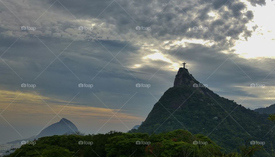 Rio de Janeiro Forest