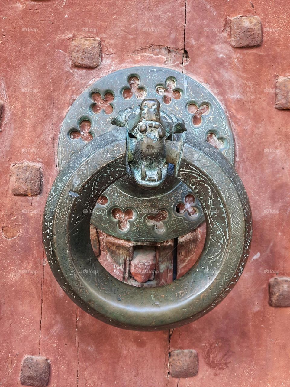 Door knocker, Bayonne Cathedral, France