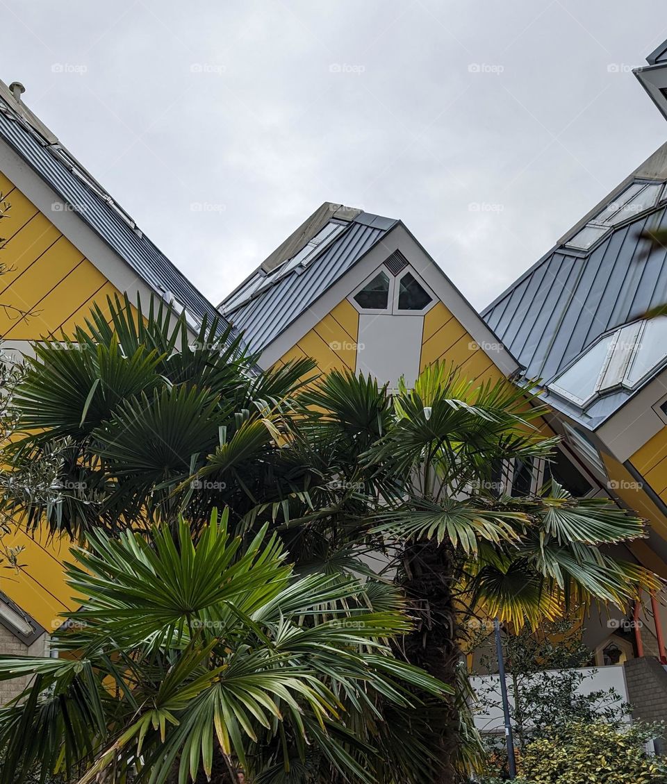 Cube Houses in Rotterdam, Netherlands