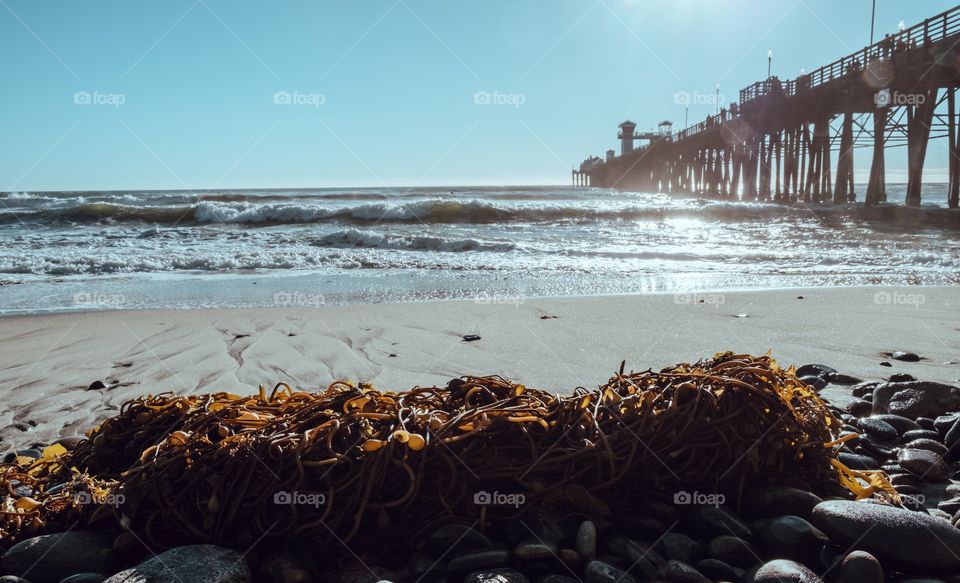 Oceanside Pier