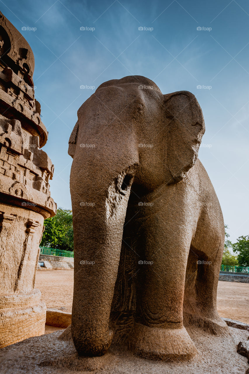 Elephant Sculpture of Pallava Kingdom, Mahabalipuram, India