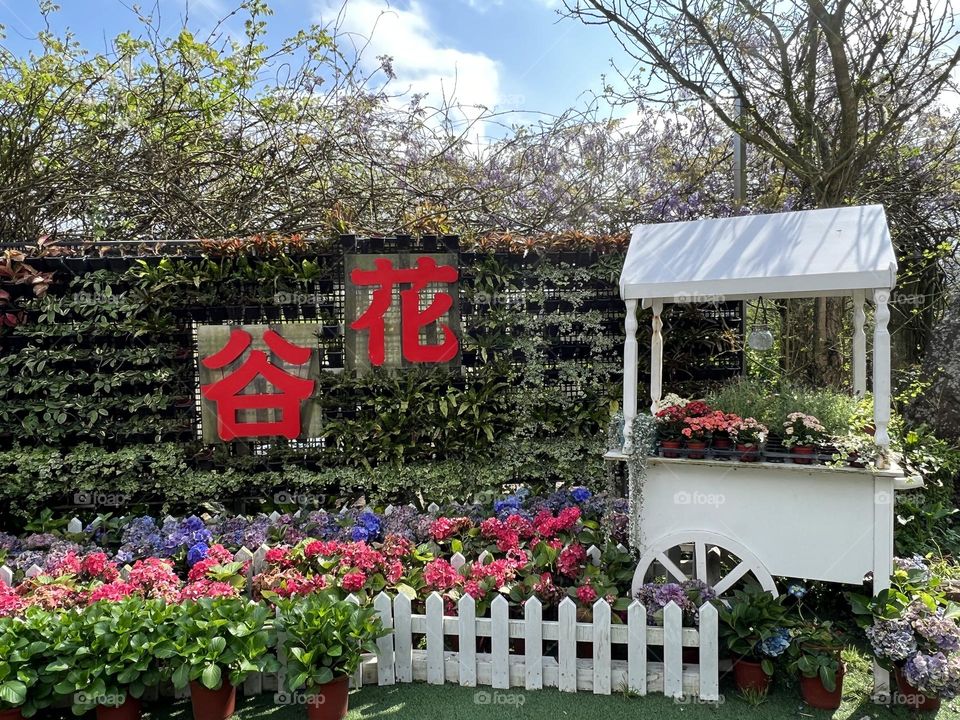 Special shop in Yang Ming Shan