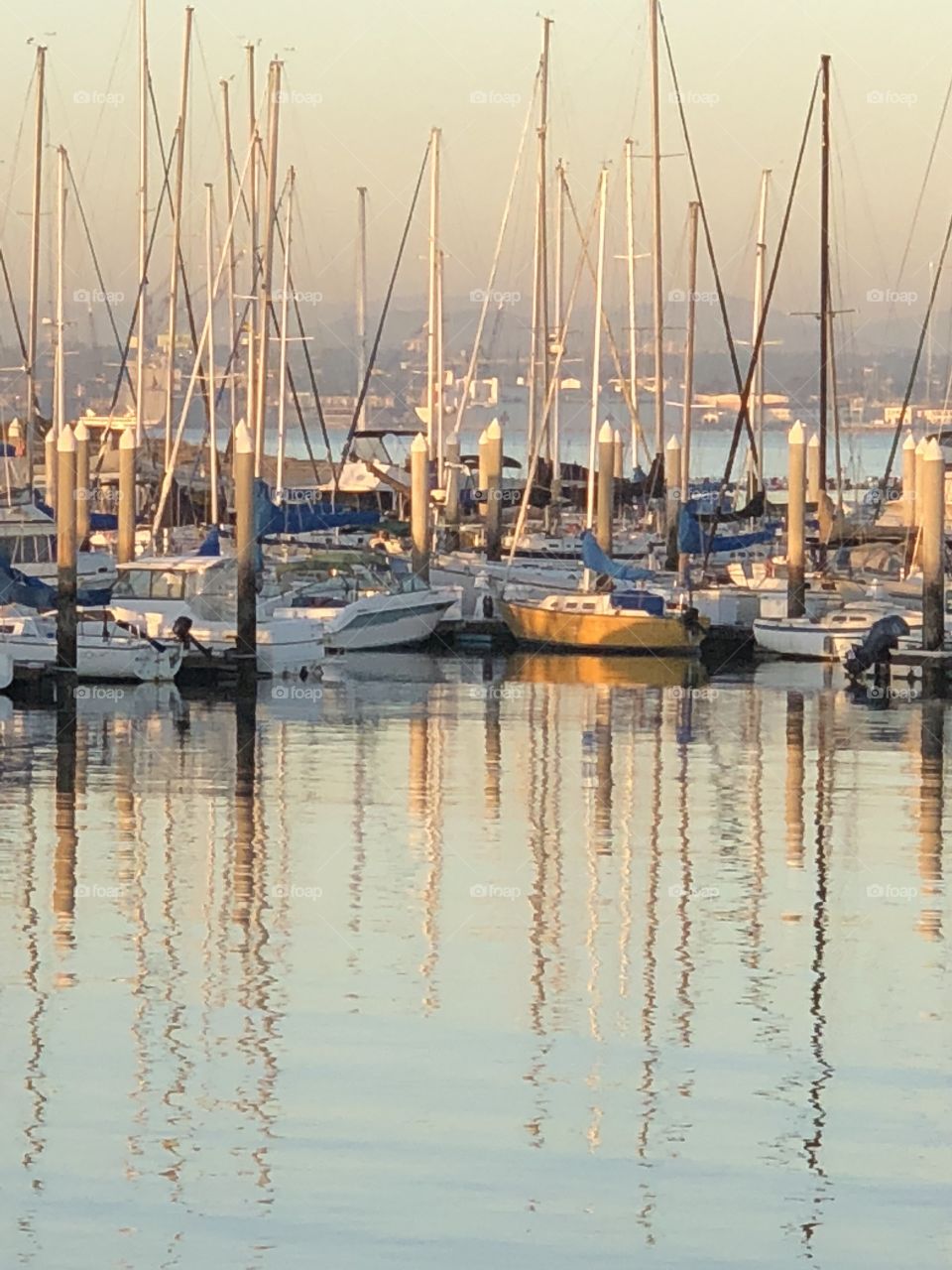 Fidler’s Cove at Sunset