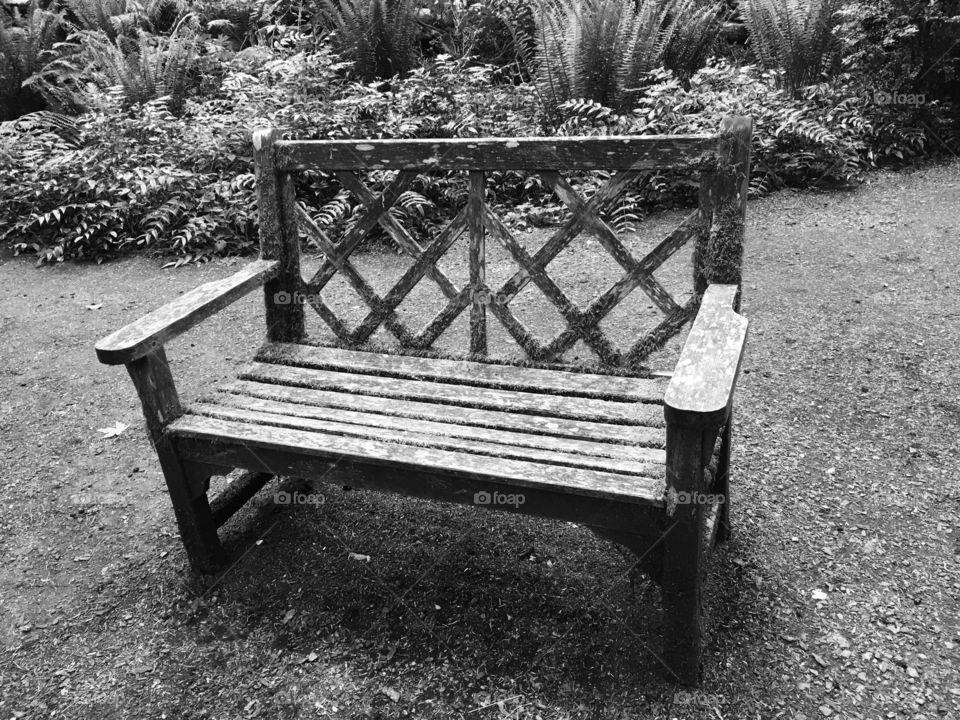 Respite Bench