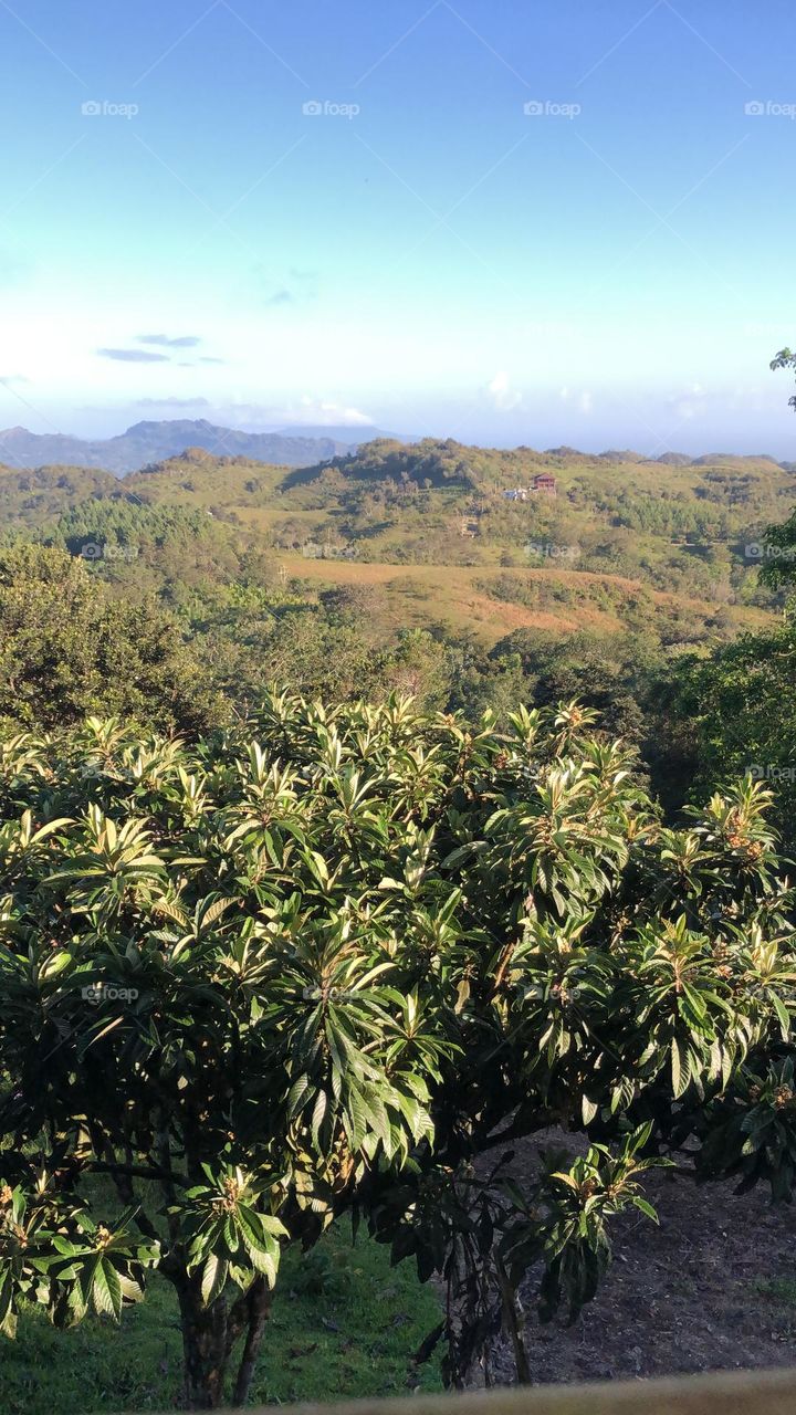 Close to the nature!! 