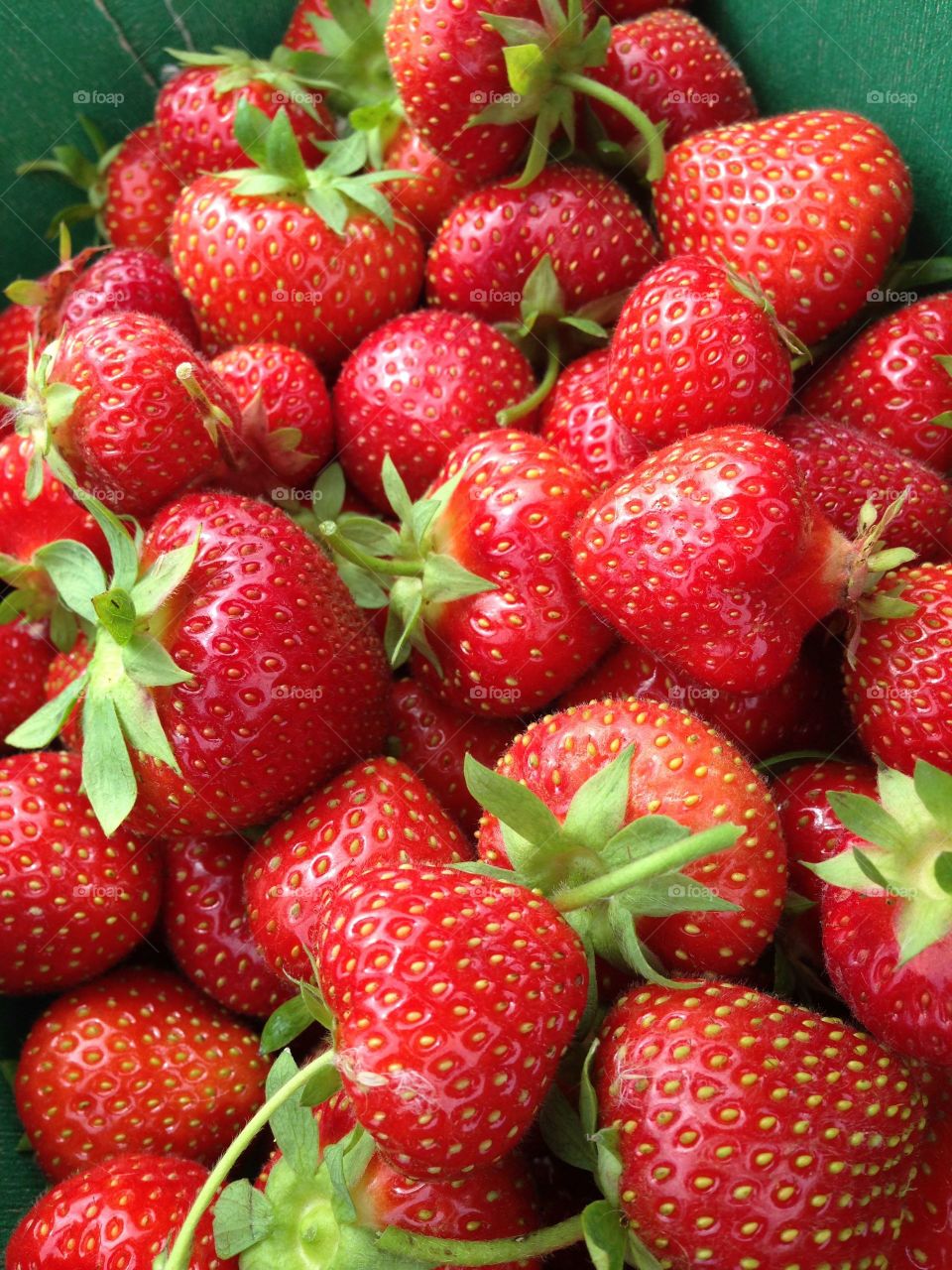 Punnet of strawberries for jam making