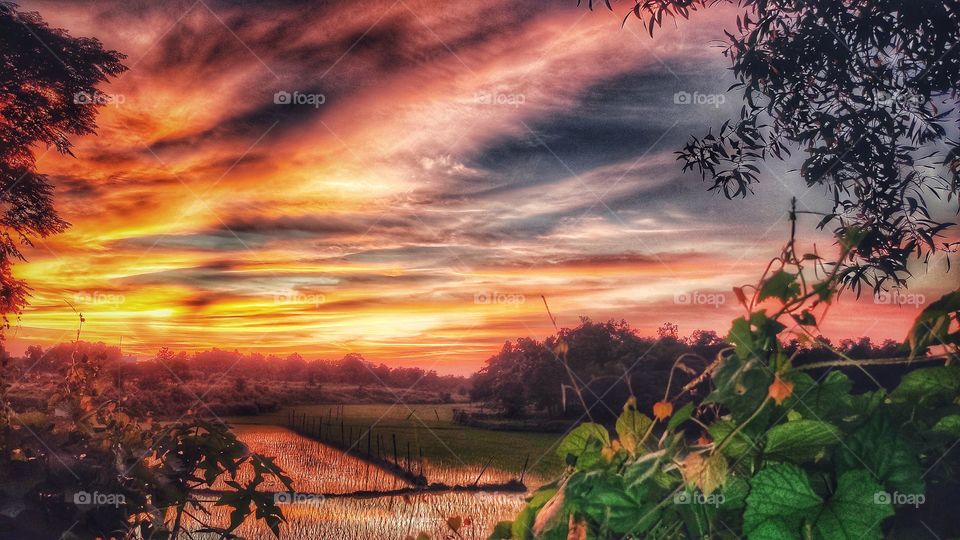 This is the beauty of our country.
Our country weather is amazing.
This photos is  click by me