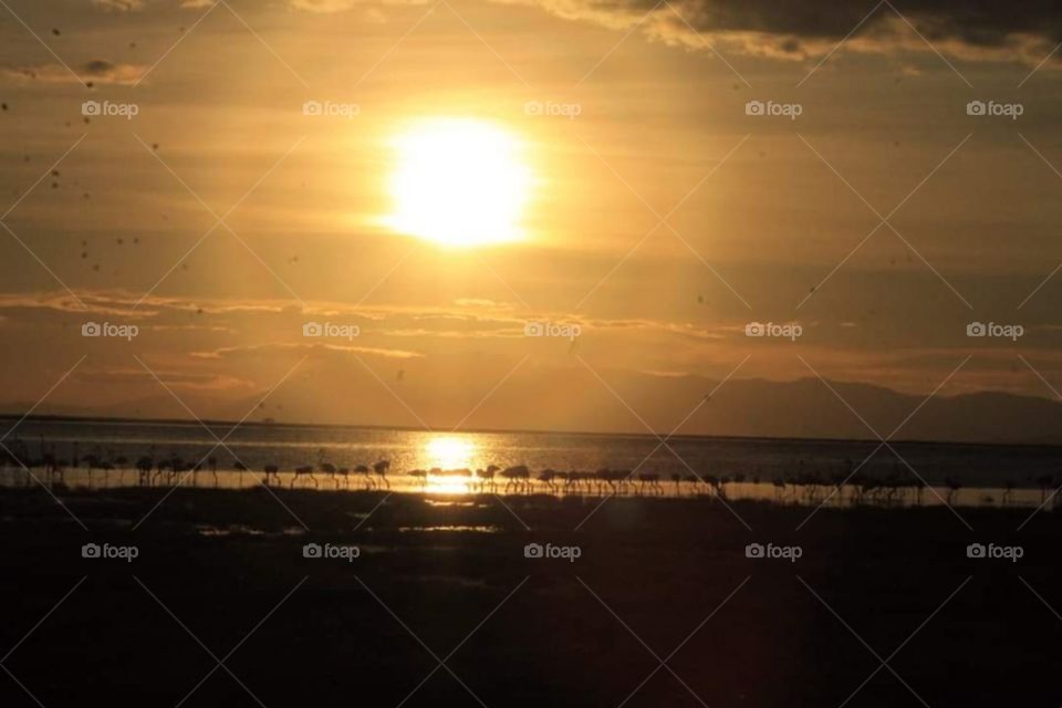 Lake Naivasha sunsets