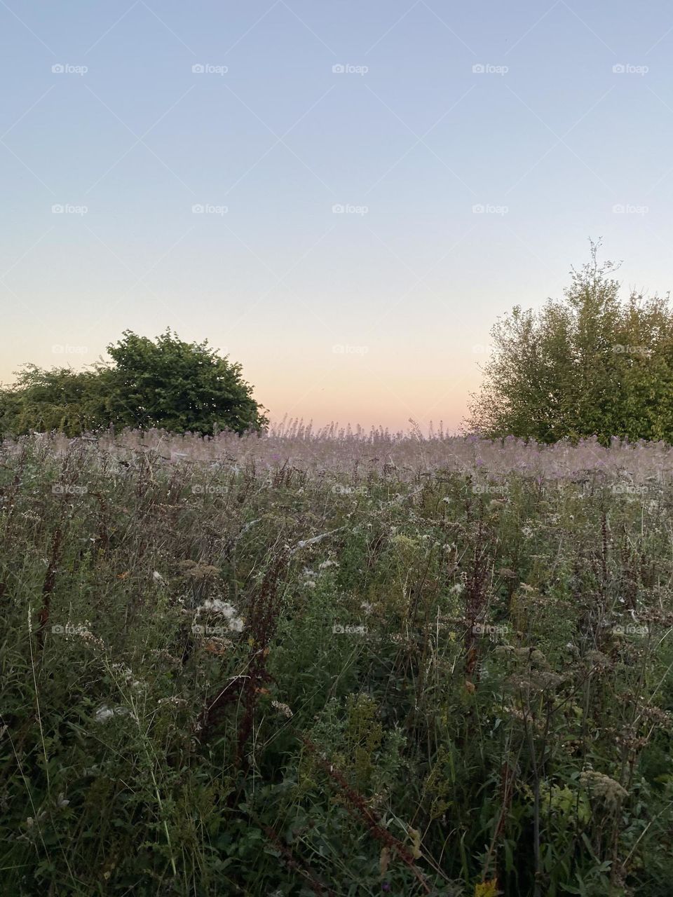 Escape to the Scottish countryside 