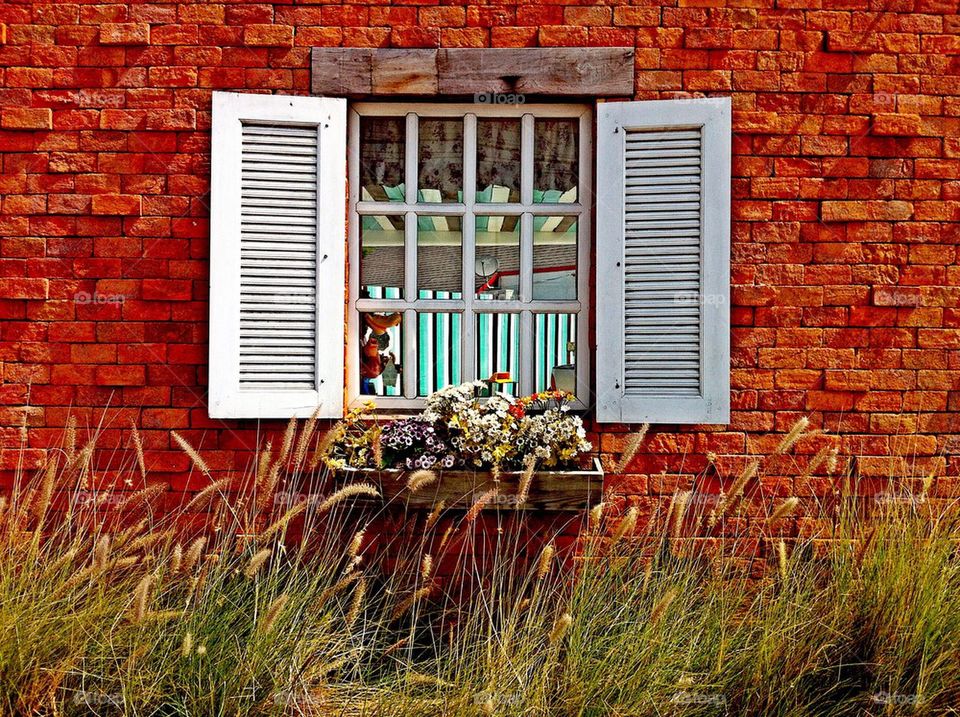 Vintage romance window field