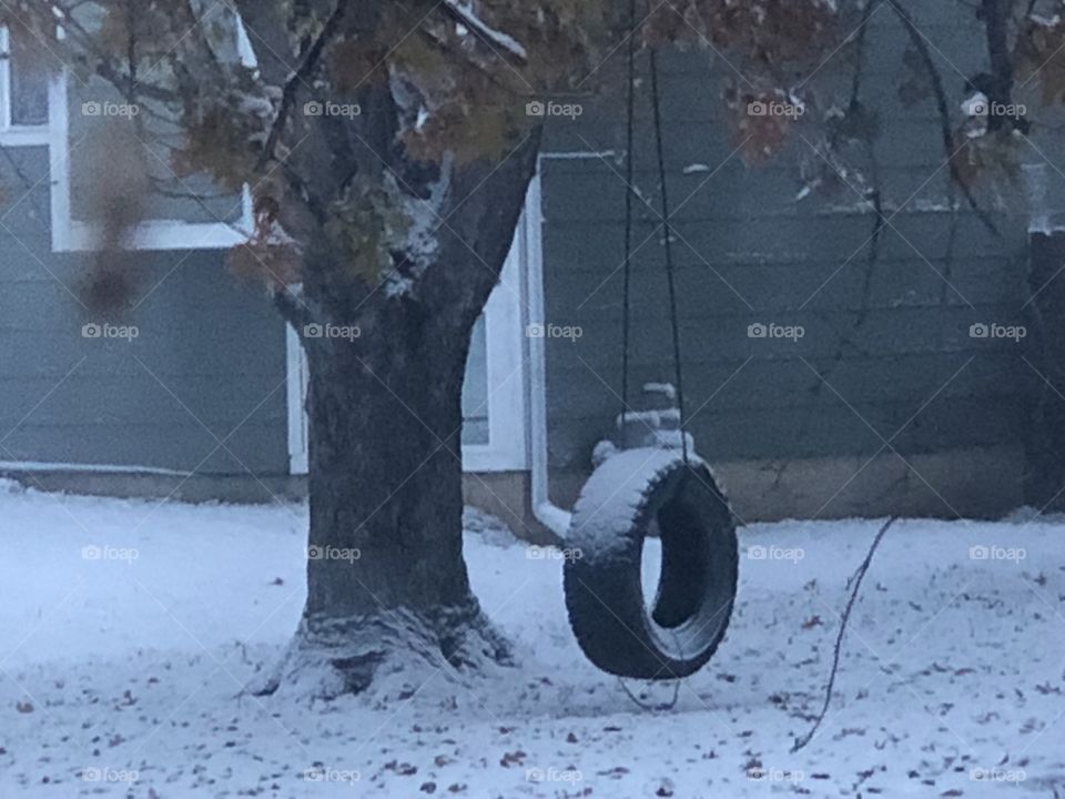 Cold lonely tire swing