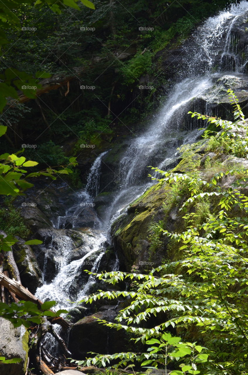 Waterfall in the woods