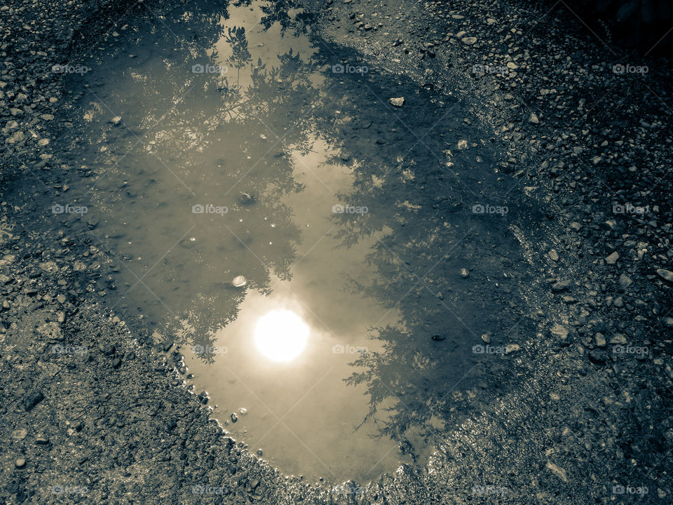 High angle view of puddle